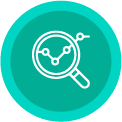 Director (a) de investigación y desarrollo
